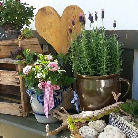 Guest house Staufenhof Inzell