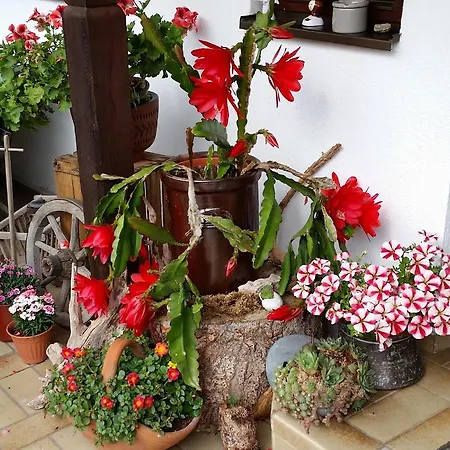 Staufenhof 3* インツェル