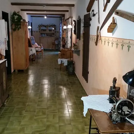 Staufenhof Guest house *